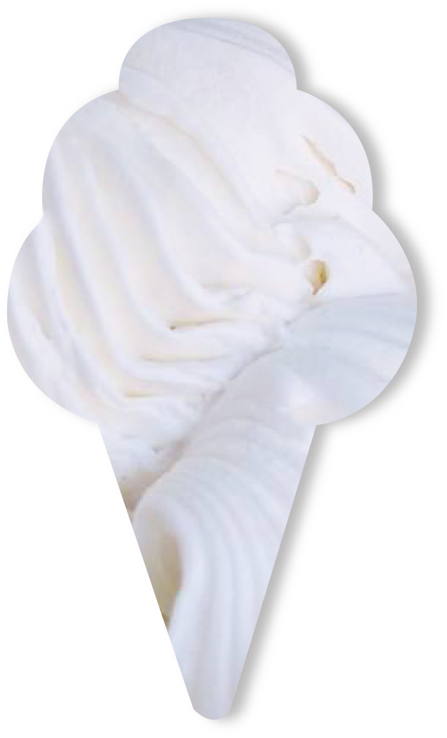 明宝ジェラートの写真