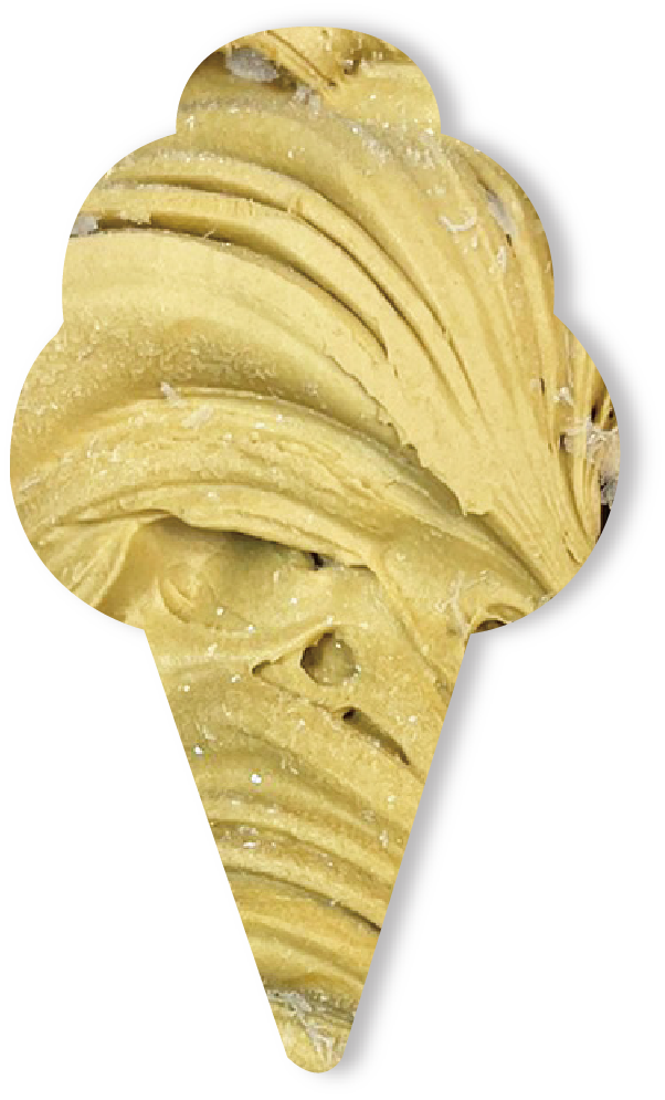 明宝ジェラートの写真